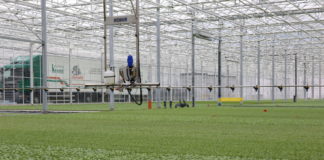 Technologia produkcji rozsady warzyw polowych – FILM