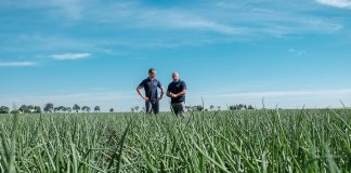 Dla nas cebula to wyzwanie! ONION LEADER 2019