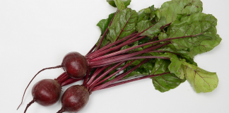 Prezentacja 20 odmian buraczków firmy Sakata – już 3 sierpnia w Zakroczymiu k. Modlina