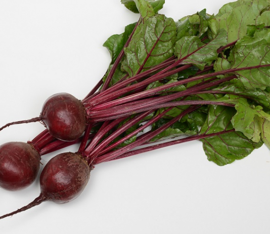 Prezentacja 20 odmian buraczków firmy Sakata – już 3 sierpnia w Zakroczymiu k. Modlina