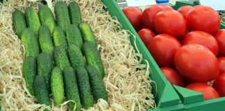 Żywność ekologiczna coraz bardziej dostepna