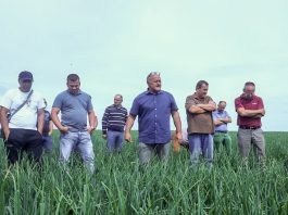 Onion Leader Tour – kierunek Niemcy