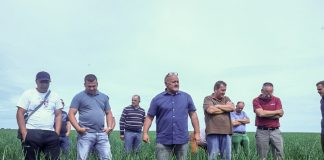 Onion Leader Tour – kierunek Niemcy