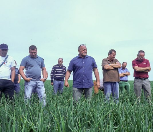 Onion Leader Tour – kierunek Niemcy