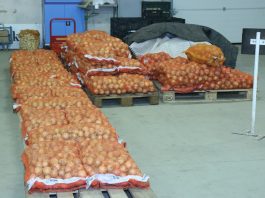 Wzrost eksportu warzyw z Ukrainy i Rosji.