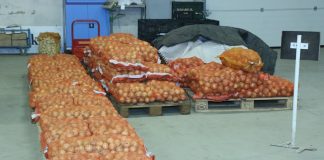 Wzrost eksportu warzyw z Ukrainy i Rosji.