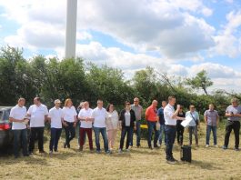 Sprawdzone odmiany pomidorów gruntowych