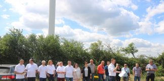 Sprawdzone odmiany pomidorów gruntowych