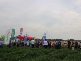 Pomidorowe Warsztaty Polowe w Bocheniu