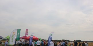 Pomidorowe Warsztaty Polowe w Bocheniu