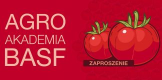 Zimowa edycja Agroakademii Warzywniczej BASF