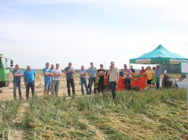 Agro Akademia BASF – o cebuli w trakcie uprawy i po zbiorze