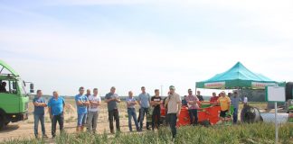 Agro Akademia BASF – o cebuli w trakcie uprawy i po zbiorze