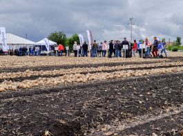 Warsztaty cebulowe i podsumowanie sezonu 2017- FILM