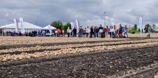 Warsztaty cebulowe i podsumowanie sezonu 2017- FILM