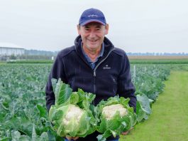 Odmiany warzyw na Kresach, czyli Dni Otwarte Syngenta