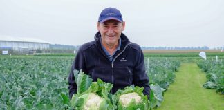 Odmiany warzyw na Kresach, czyli Dni Otwarte Syngenta