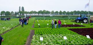 Dni Otwarte Syngenta w Holandii – jubileuszowa edycja 2017