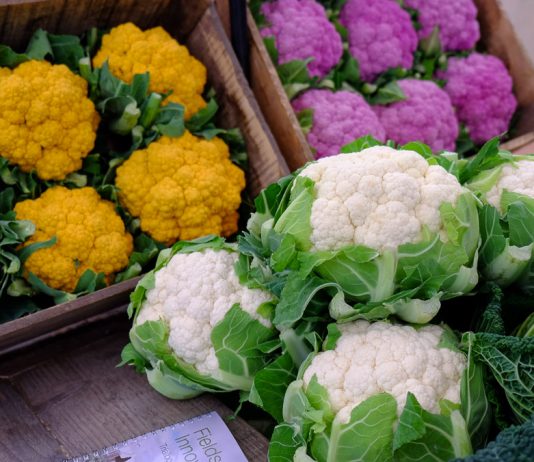 Kalafiory i brokuły głównym tematem Konferencji Warzywniczej TSW 2018