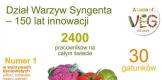 150 lat Działu Warzyw w firmie Syngenta