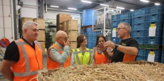 Międzynarodowe Dni Otwarte Hazera, cz. II