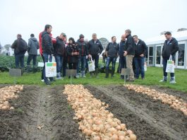 Międzynarodowe Dni Otwarte w firmie Hazera, cz. I