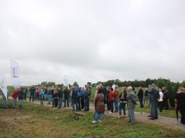 Warzywa polowe pod Lublinem (cz. 1)