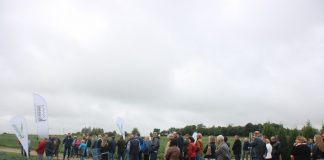 Warzywa polowe pod Lublinem (cz. 1)