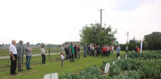 O kalafiorach pod Sochaczewem (Cz. 1)