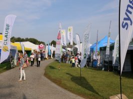 XIX Międzynarodowe Dni Ogrodnika w Gołuchowie – fotorelacja