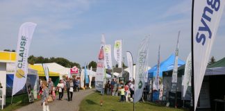 XIX Międzynarodowe Dni Ogrodnika w Gołuchowie – fotorelacja