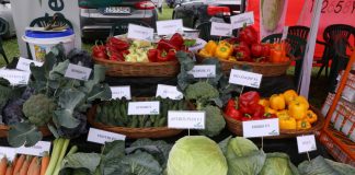 X Małopolskie Święto Warzyw w Pobiedniku, cz. I