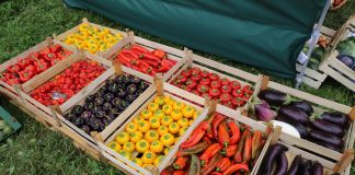 X Małopolskie Święto Warzyw w Pobiedniku, cz. II