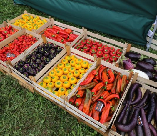 X Małopolskie Święto Warzyw w Pobiedniku, cz. II