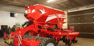 Uprawa brokuła w technologii bezorkowej