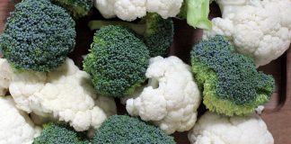 Konsolidacja w branży przetwórczej – Agram pod szyldem belgijskiego Crop’s