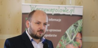 Brokuły dla przemysłu to polska specjalność