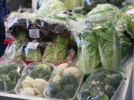 Ogrodnictwo ważną branżą we Włoszech