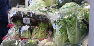 Ogrodnictwo ważną branżą we Włoszech