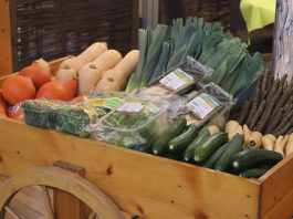 Wegetarianie łatwiej wpadają w depresję