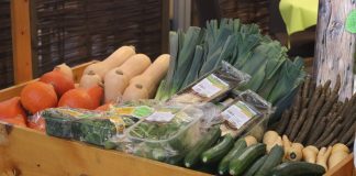 Wegetarianie łatwiej wpadają w depresję