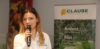 Nowe odmiany pomidora i kukurydzy