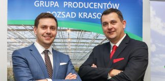 Rozsada warzyw – zawsze wyrównana, zawsze na czas