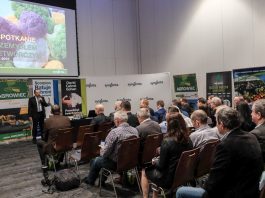 Warzywa dla przetwórstwa. Jakie trendy i prognozy na nowy sezon?