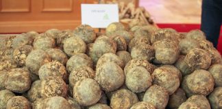 Rynek selerów w Europie mało atrakcyjny