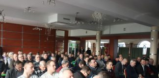 Produkcja pomidorów efektywna i dochodowa