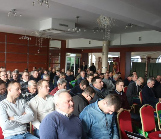 Produkcja pomidorów efektywna i dochodowa