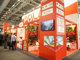 Fruit Logistica 2019 coraz bliżej