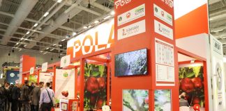 Fruit Logistica 2019 coraz bliżej