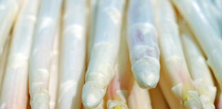 Zbiory szparagów nabierają tempa w Europie